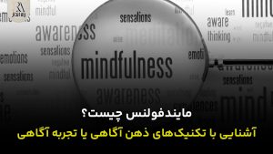 مایندفولنس چیست؟